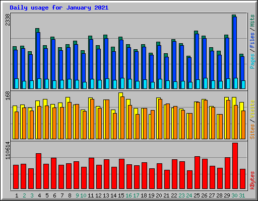Daily usage for January 2021