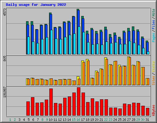 Daily usage for January 2022