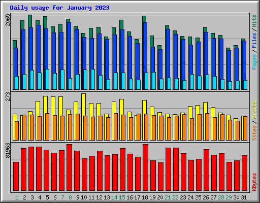 Daily usage for January 2023