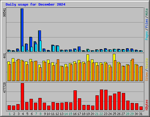 Daily usage for December 2024