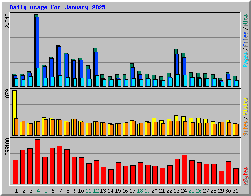 Daily usage for January 2025