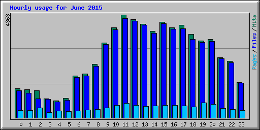 Hourly usage for June 2015