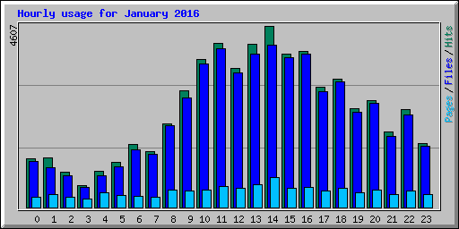 Hourly usage for January 2016