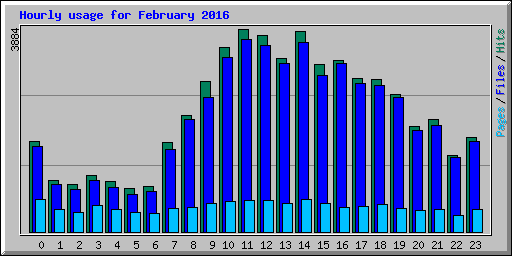 Hourly usage for February 2016