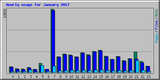 Hourly usage for January 2017