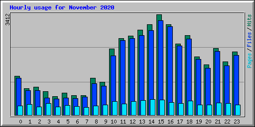 Hourly usage for November 2020