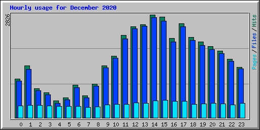 Hourly usage for December 2020