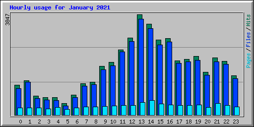 Hourly usage for January 2021