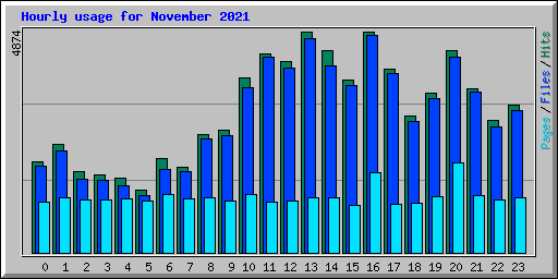 Hourly usage for November 2021