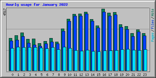 Hourly usage for January 2022