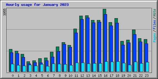 Hourly usage for January 2023