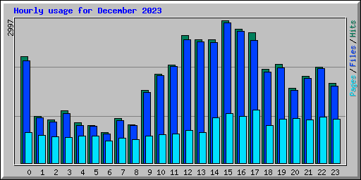 Hourly usage for December 2023