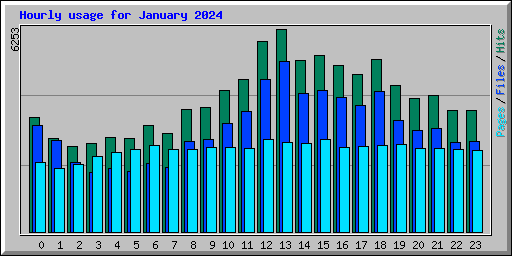 Hourly usage for January 2024