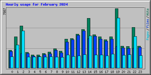 Hourly usage for February 2024