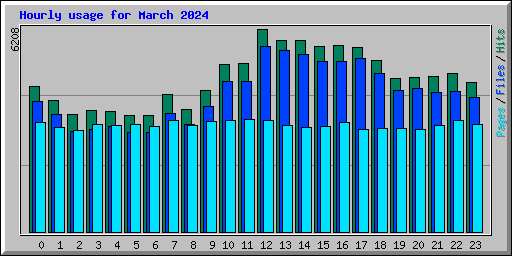 Hourly usage for March 2024