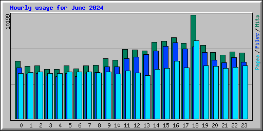 Hourly usage for June 2024
