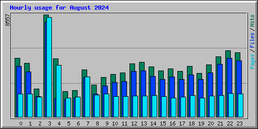 Hourly usage for August 2024