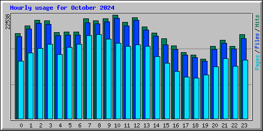 Hourly usage for October 2024