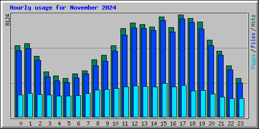 Hourly usage for November 2024