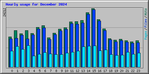 Hourly usage for December 2024