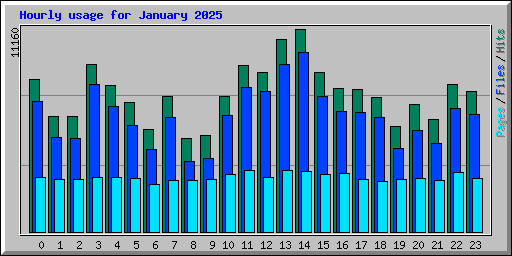 Hourly usage for January 2025