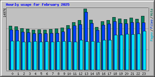 Hourly usage for February 2025