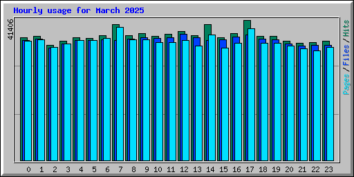 Hourly usage for March 2025