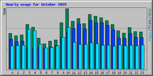 Hourly usage for October 2025
