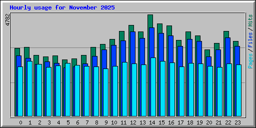 Hourly usage for November 2025