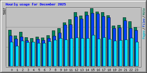 Hourly usage for December 2025
