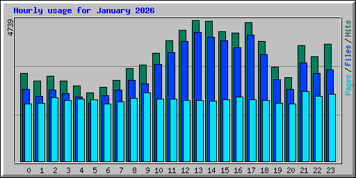 Hourly usage for January 2026