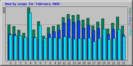 Hourly usage for February 2026