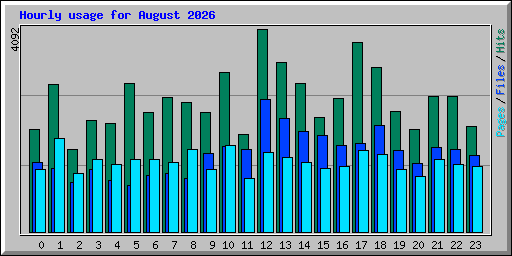Hourly usage for August 2026